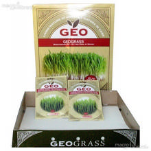 Geograss Kit per Erba di Grano